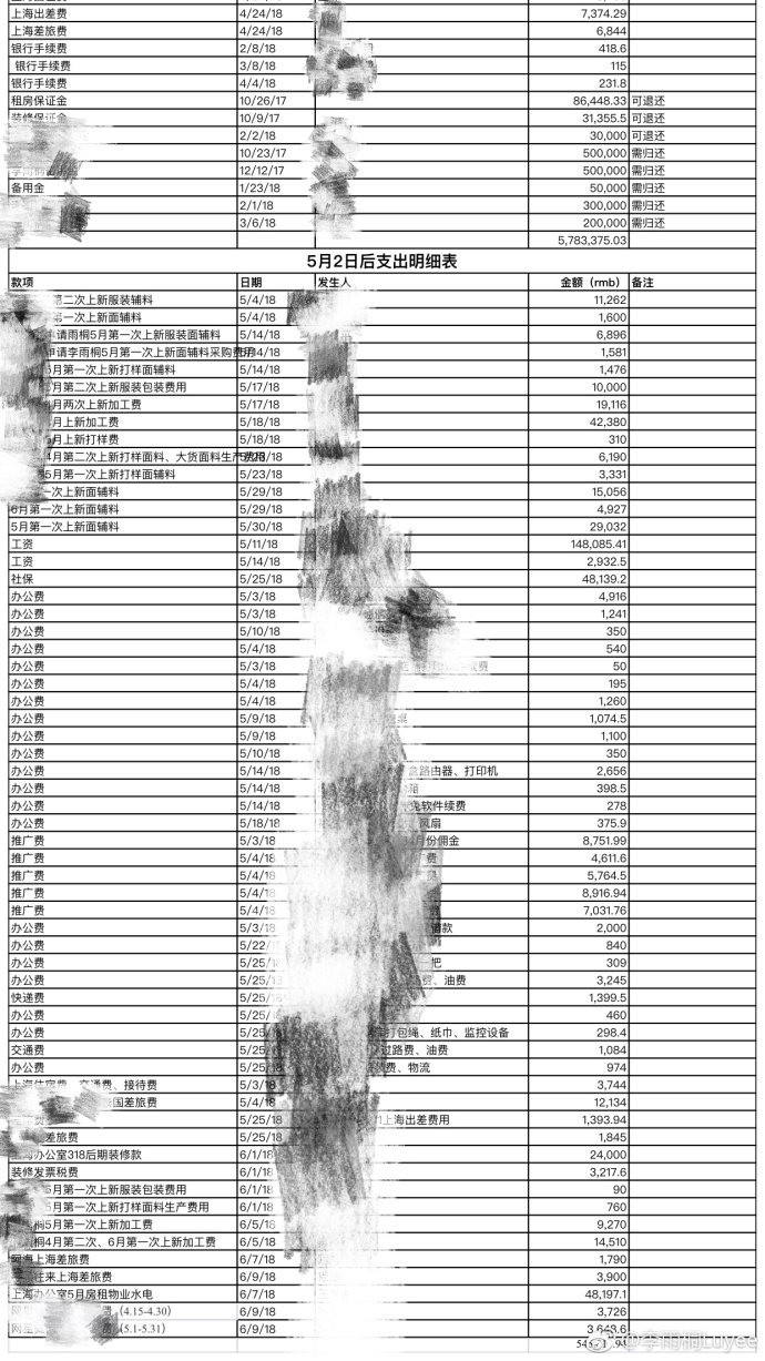 李雨桐再曝公司开销清单 称曾被恶意攻击