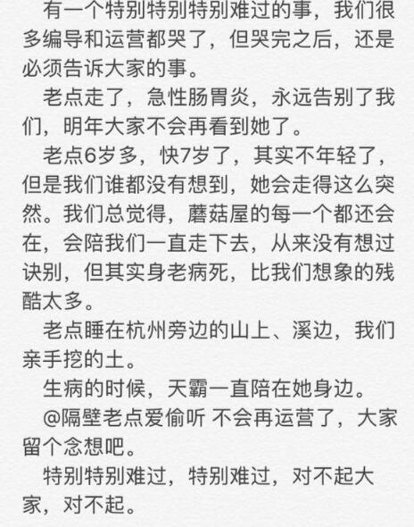 《向往的生活》中小羊老点过世 节目组不断道歉